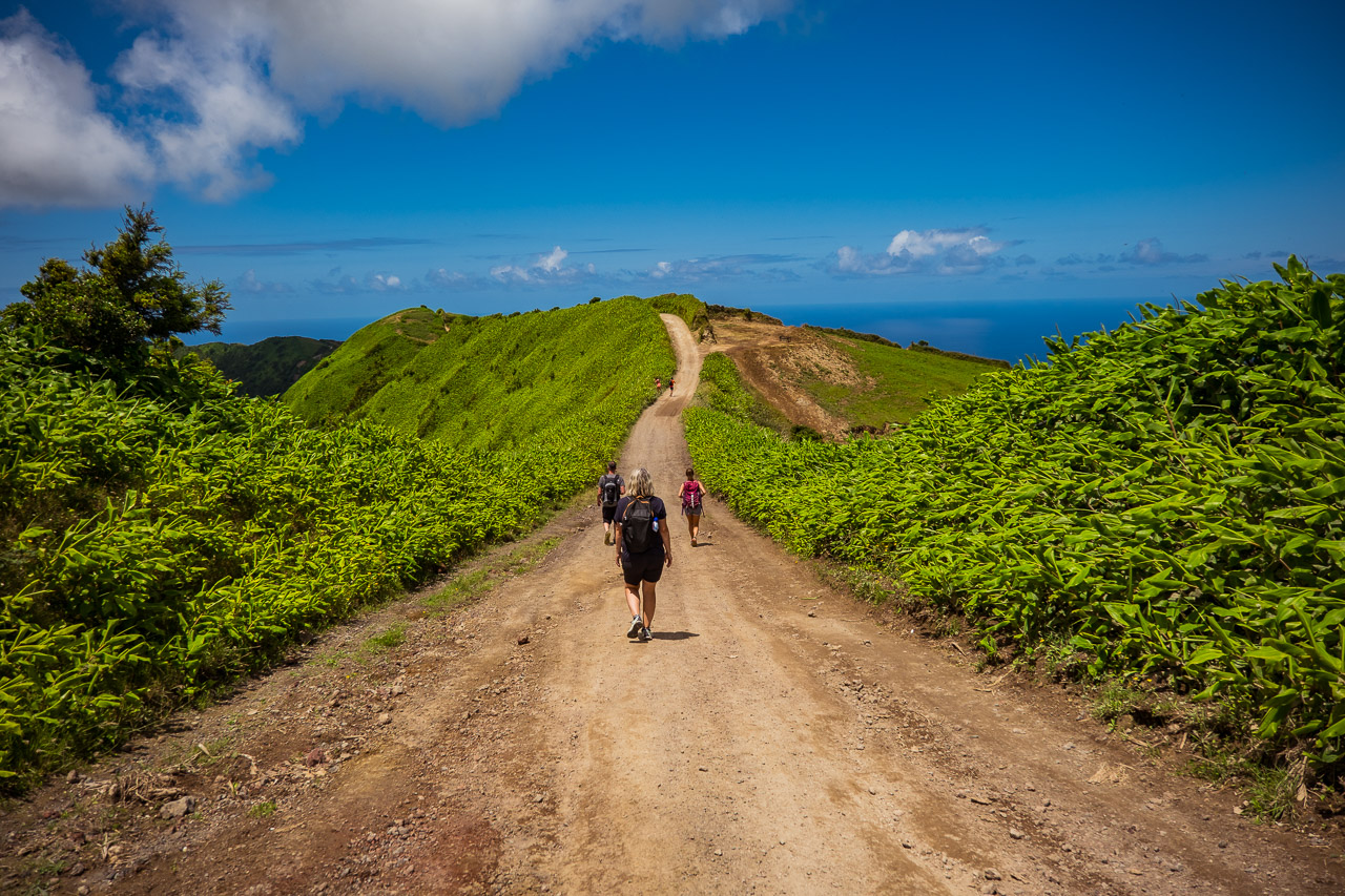 Azory-14