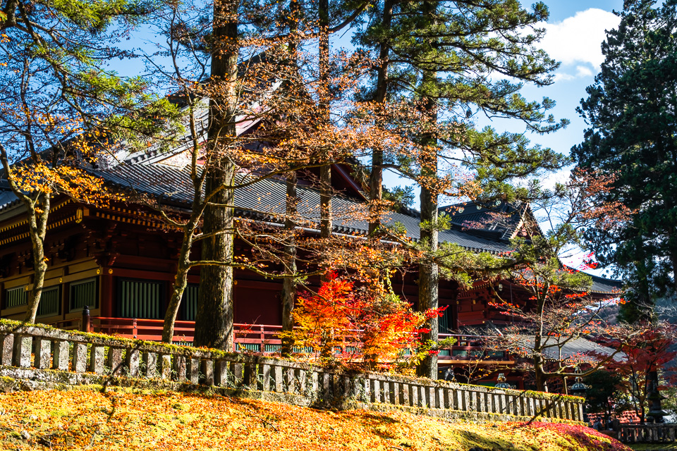 Japonsko-18