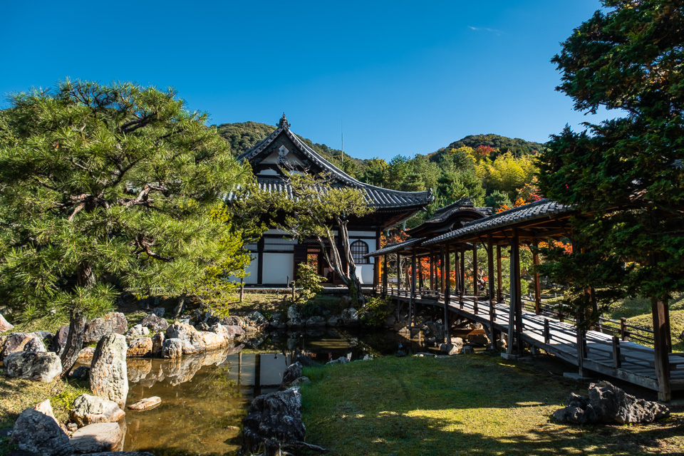 Japonsko-30