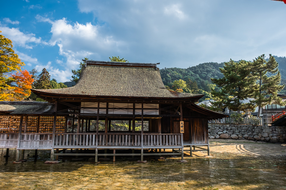Japonsko-36