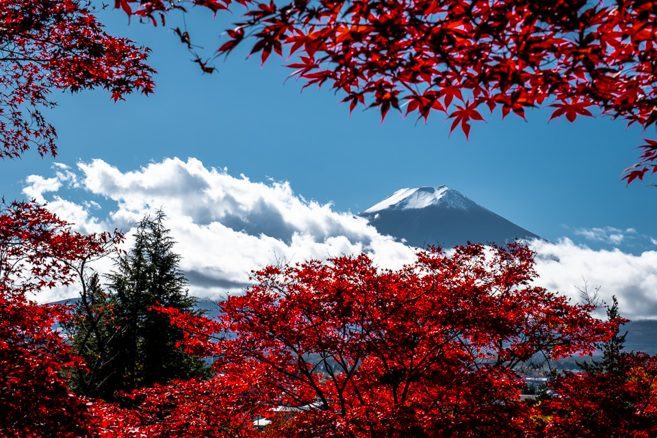 Japonsko-9