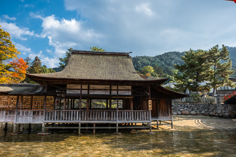 Japonsko-36