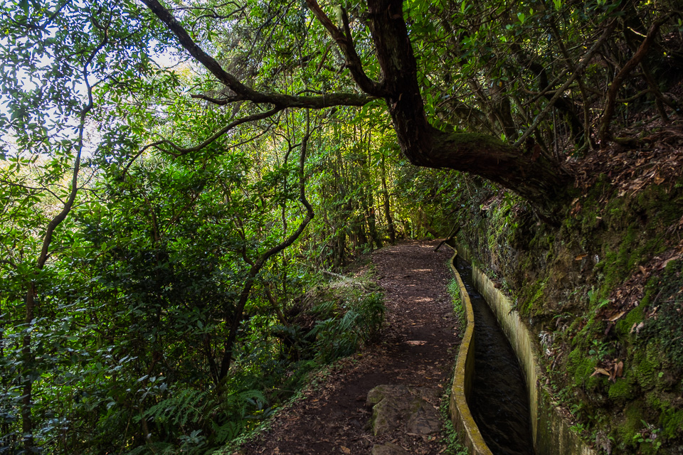 03-madeira-2