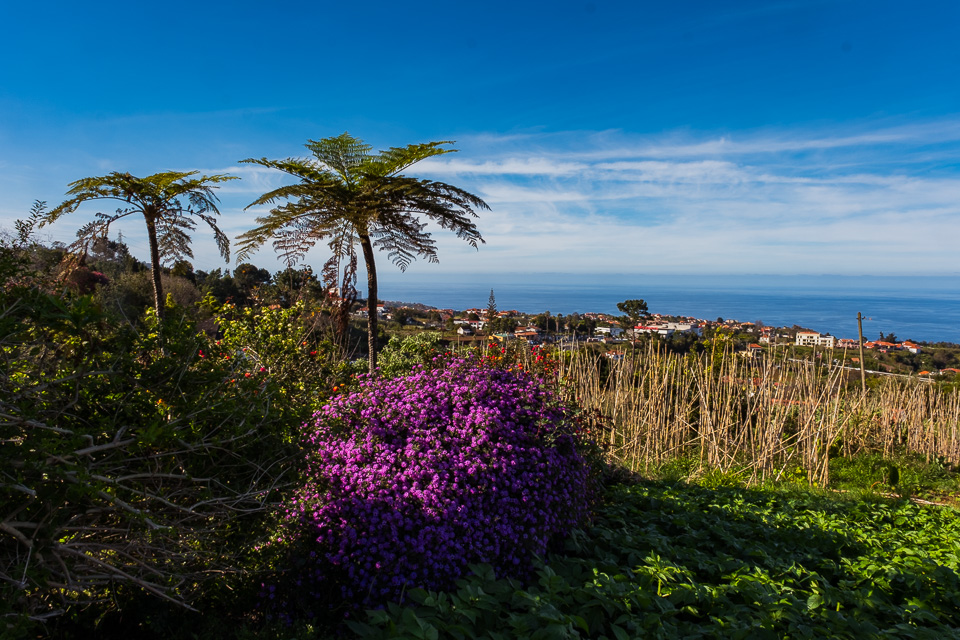 06-madeira-2