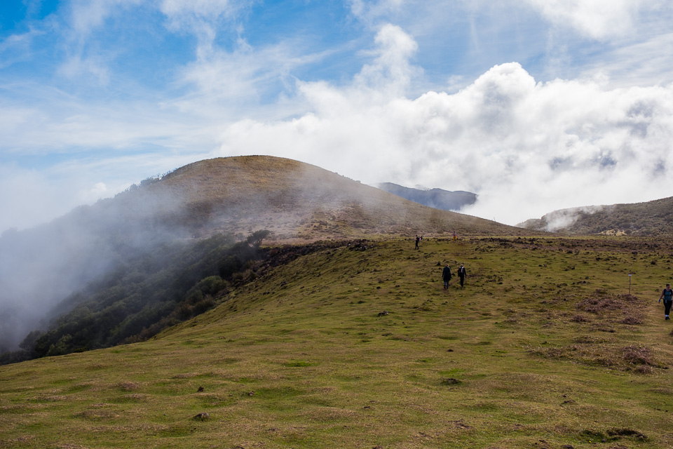 12-madeira-2