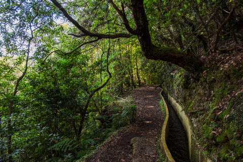 03-madeira-2