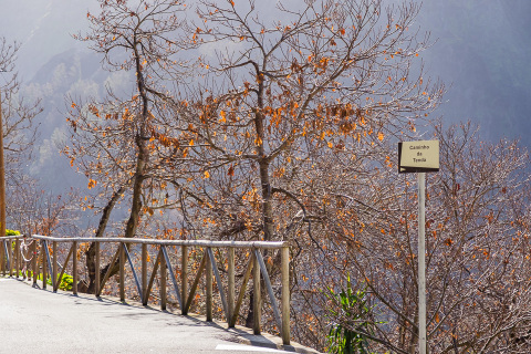 30-madeira-2