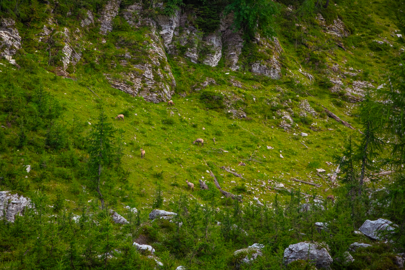 Slovinsko_Chorvatsko-42