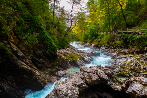 Slovinsko_Chorvatsko-23