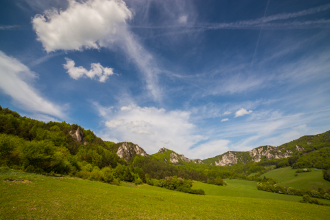 Sulovske-6