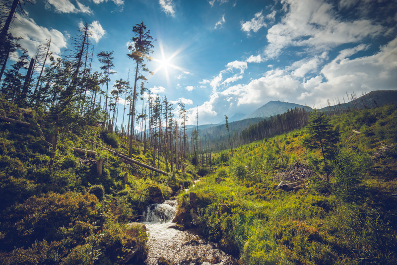Tatry-18