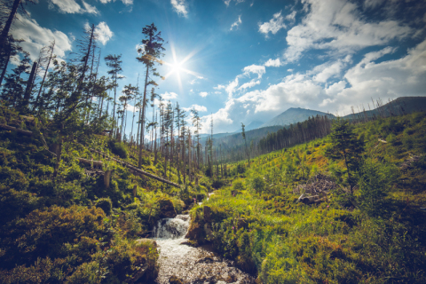 Tatry-18
